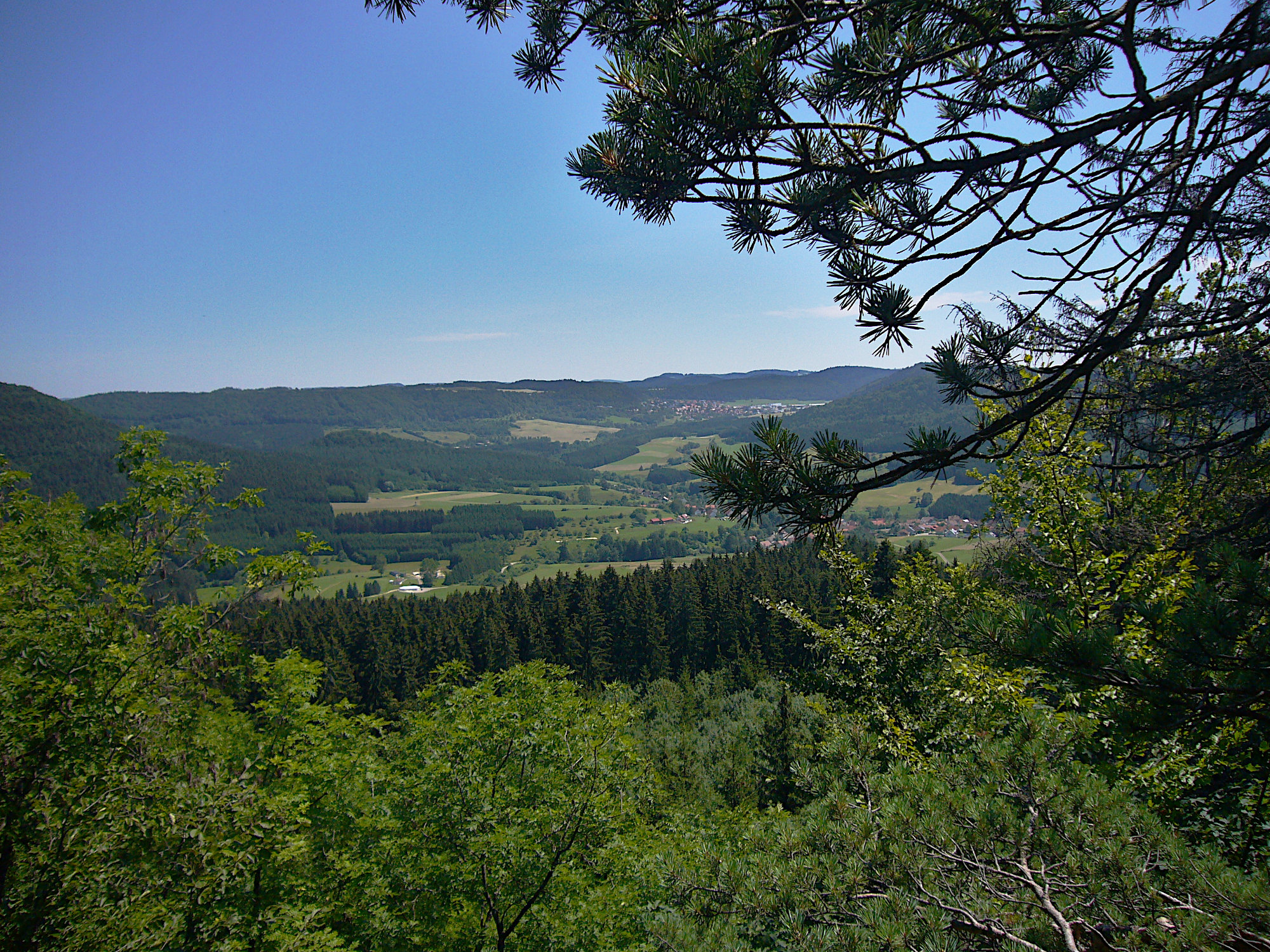 Blick Richtung Schwarzwald