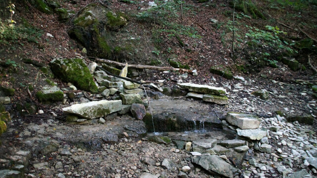 Glasenbach Quelle Glasenbach Quelle