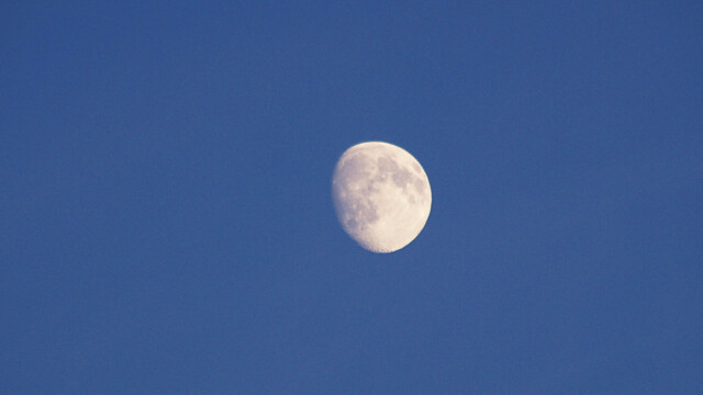 Mond Mond