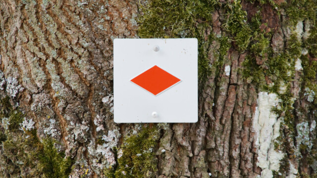 Rote Raute - Wanderzeichen Rote Raute - Wanderzeichen