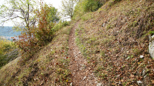 Schmaler Wanderpfad Schmaler Wanderpfad