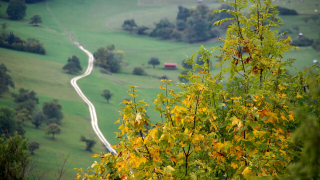 Mit Motor Herbst