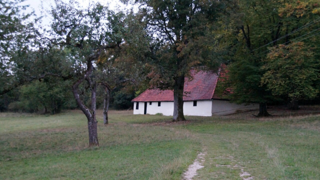 Schafhaus Schafhaus