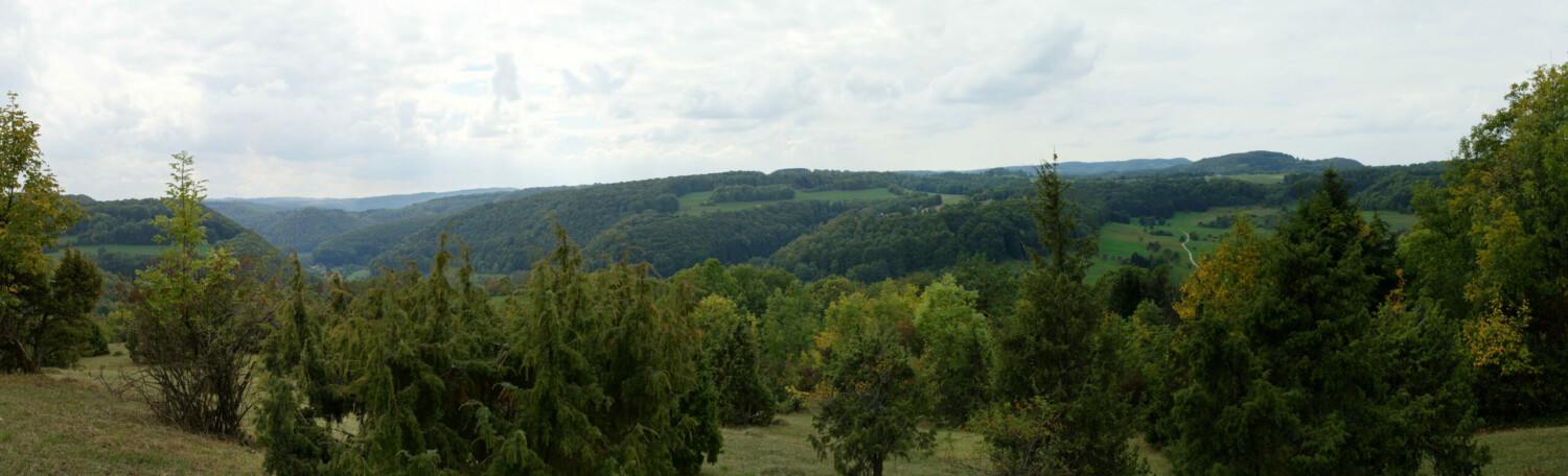 Blick vom Galgenberg Blick vom Galgenberg