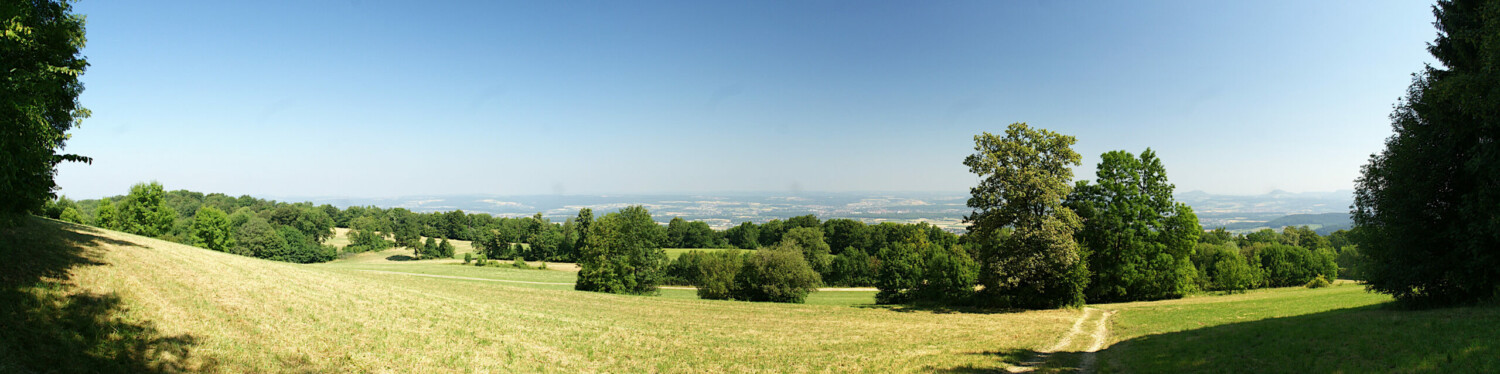 Blick vom Kornberg Blick vom Kornberg