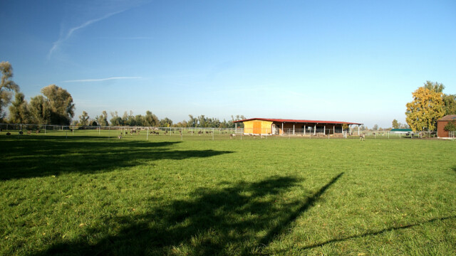 Straußenfarm Straußenfarm