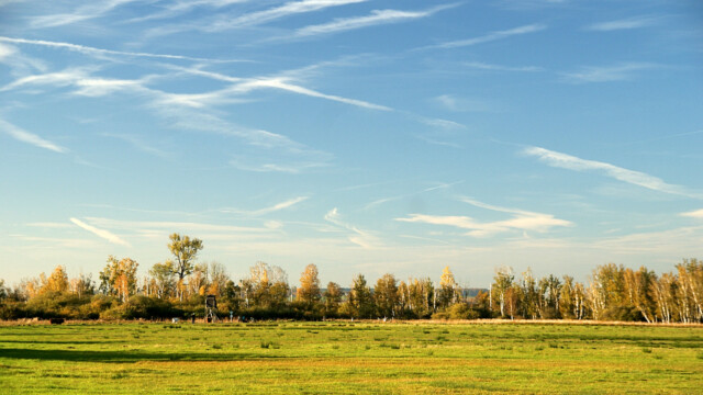 Leipheimer Moos Leipheimer Moos
