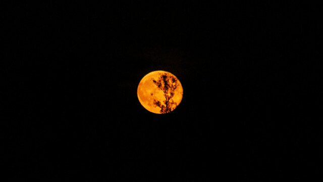 Mond Mond