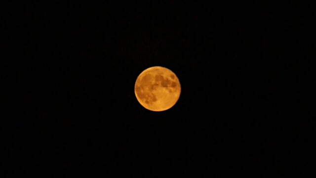 Mond Mond