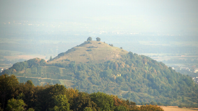 Limburg Limburg