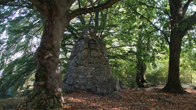 Salzmannstein Salzmannstein