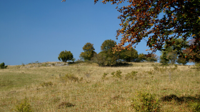 Auchtert Auchtert
