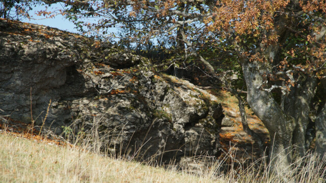 Auchtert Auchtert