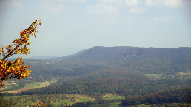Boßler Boßler