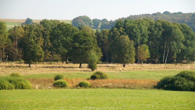 Schopflocher Moor Schopflocher Moor