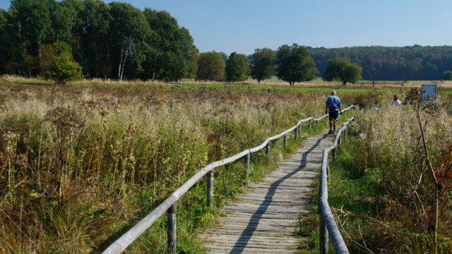 Schopflocher Moor Schopflocher Moor