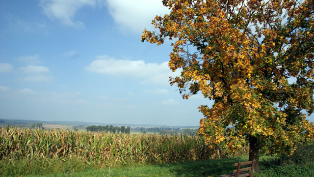 Herbst Herbst