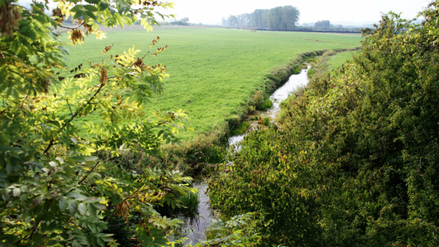 Graben - Zufluss zur Egau Graben - Zufluss zur Egau