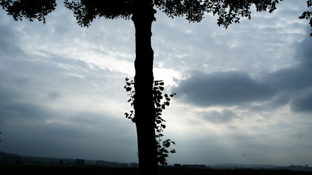 Tolle Lichtstimmung Tolle Lichtstimmung