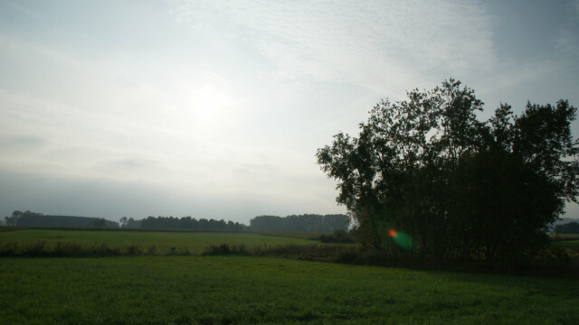 Dattenhauser Ried Dattenhauser Ried