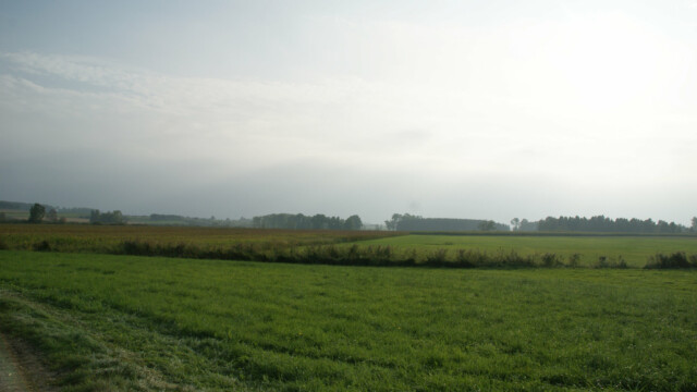 Dattenhauser Ried Dattenhauser Ried