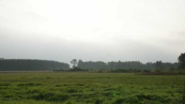 Dattenhauser Ried Dattenhauser Ried