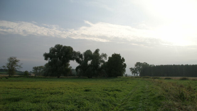 Dattenhauser Ried Dattenhauser Ried