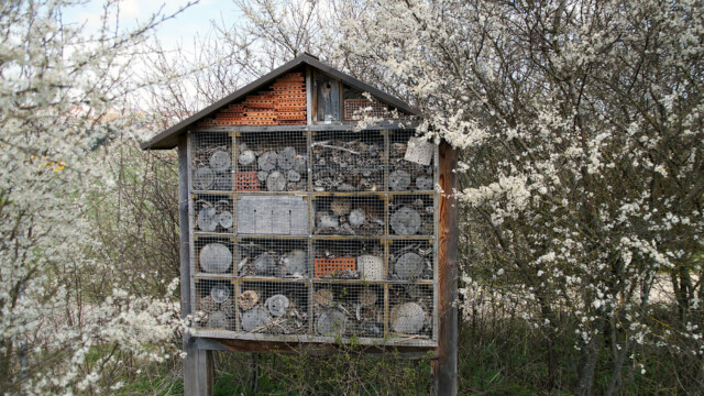 Insektenhotel