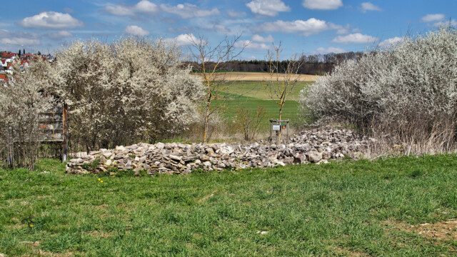 Biotop Steinriegel