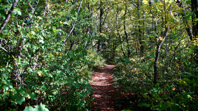 Wunderschöner Wanderpfad