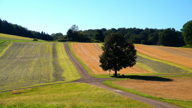 Beruhigende Landschaft Beruhigende Landschaft
