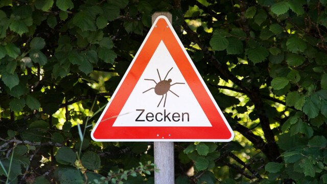 Achtung Zecken Achtung Zecken