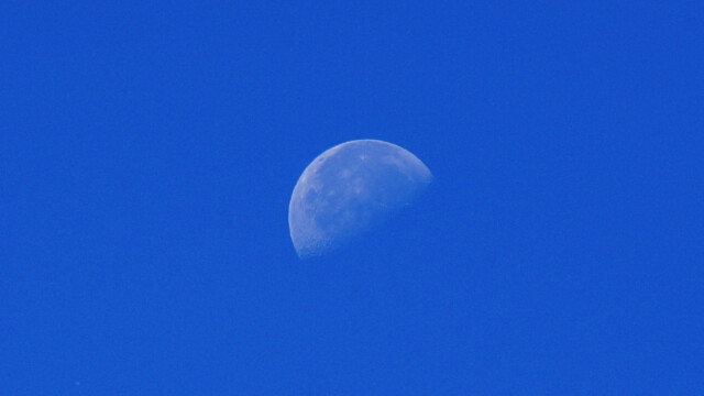 Mond Mond
