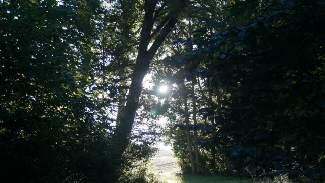 Gegenlicht Gegenlicht