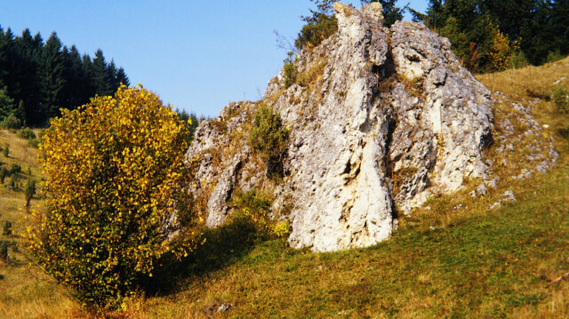 Felsen Felsen