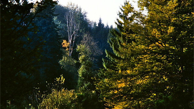 Mauertal Mauertal