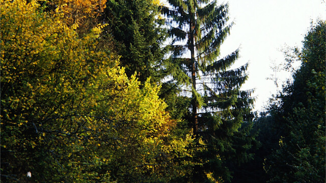 Mauertal Mauertal