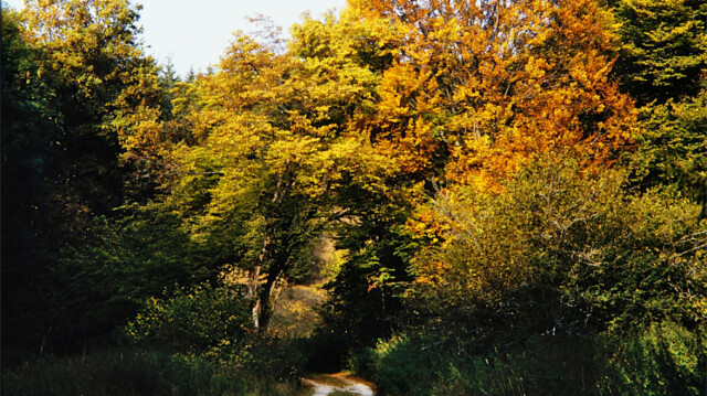 Auf dem Stöckelberg Auf dem Stöckelberg