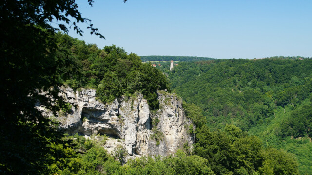 Felsen mit Blick zum Ödenwaldturm Felsen mit Blick zum Ödenwaldturm