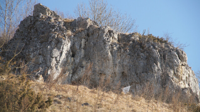 Felsen