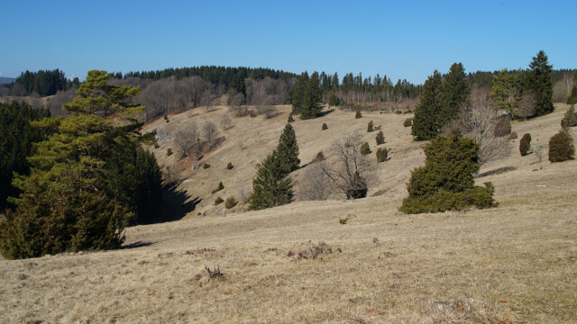 Ruhige Landschaft