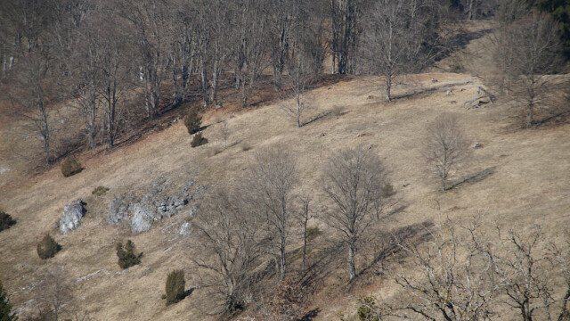 Ruhige Landschaft