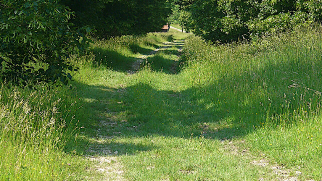 Es geht bergab Es geht bergab