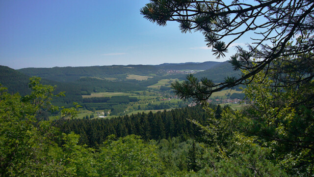 Blick Richtung Schwarzwald Blick Richtung Schwarzwald