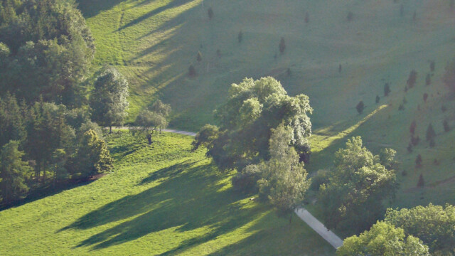Sommerdunst Sommerdunst