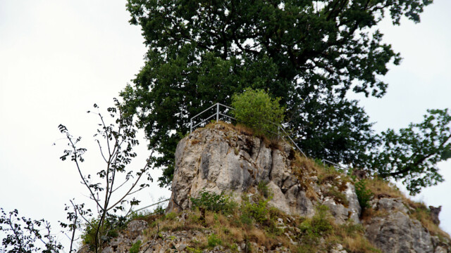 Aussichtsfelsen Domäne Falkenstein