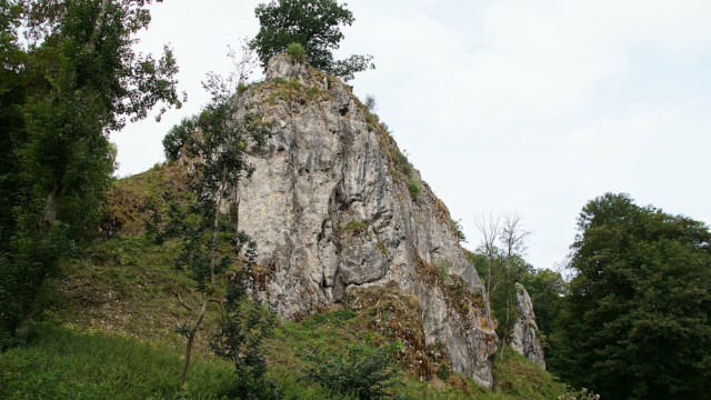 Aussichtsfelsen Domäne Falkenstein